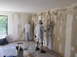 Professional Mold Inspection in Great Bend, NY